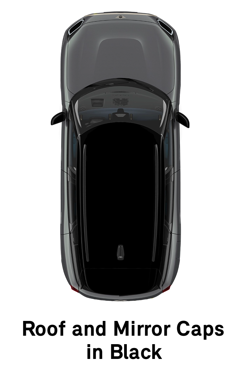  MINI - équipement - toit finition Favoured noir