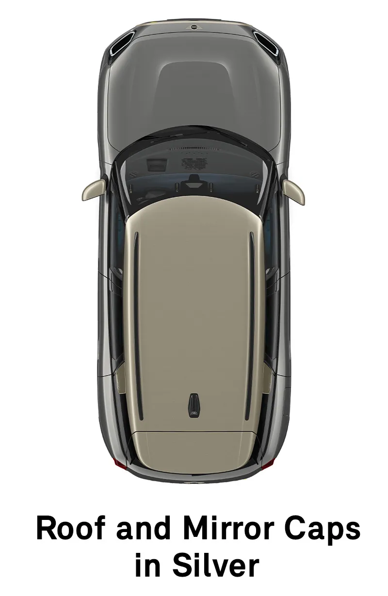  MINI - équipement - coques de toit et de rétroviseurs finition Favoured en argent