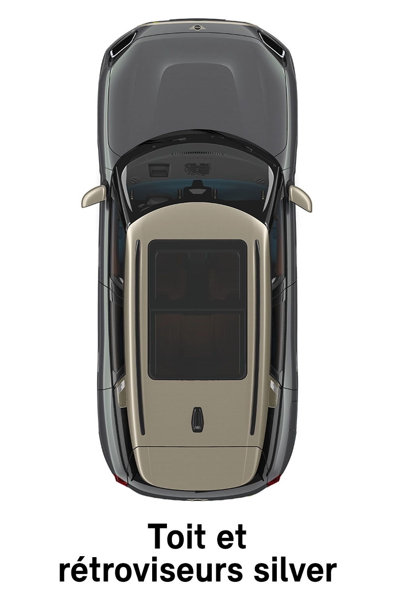  MINI - équipement - coques de toit et de rétroviseurs finition Favoured en argent